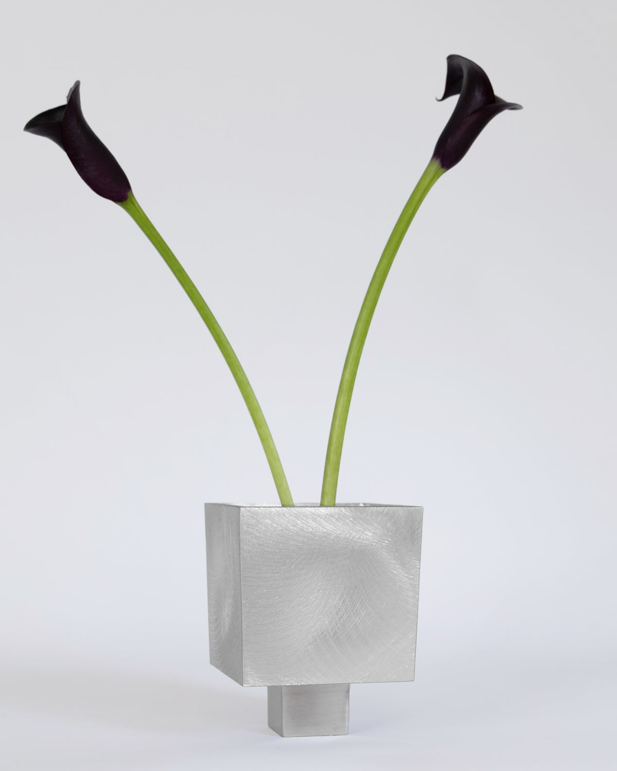 Small IXIA